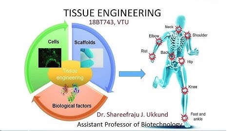 Tissue Engineering, Module 1,  Introduction to Tissue Engineering #vtu #tissueengineering #vtuexams