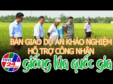 Bàn giao dự án khảo nghiệm hỗ trợ công nhận giống lúa quốc gia