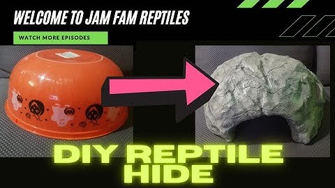 DIY Reptile hide