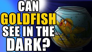 Do Goldfish See In The Dark? | Do Goldfish Need Light At Night? | Can Goldfish Live In The Dark?