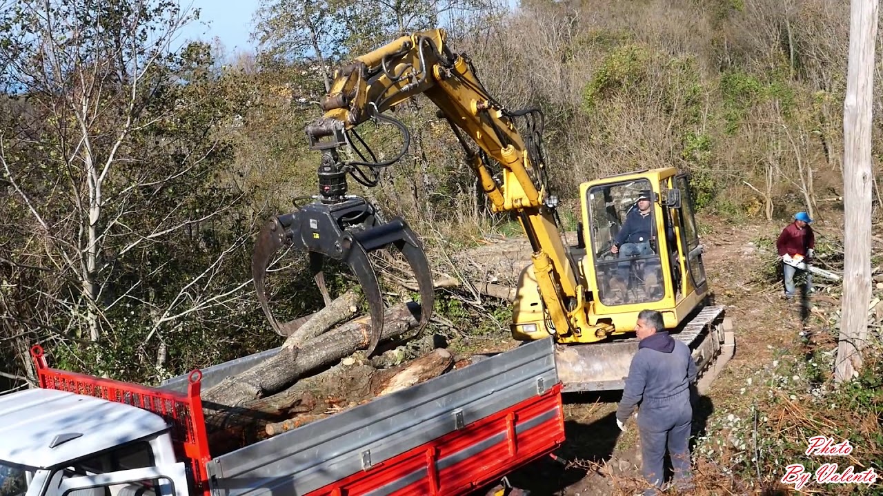 Lavori boschivi-Komatsu PC110R- New Holland 72-85- CM 90 con STIHL MS 462 C Forest work with tractor