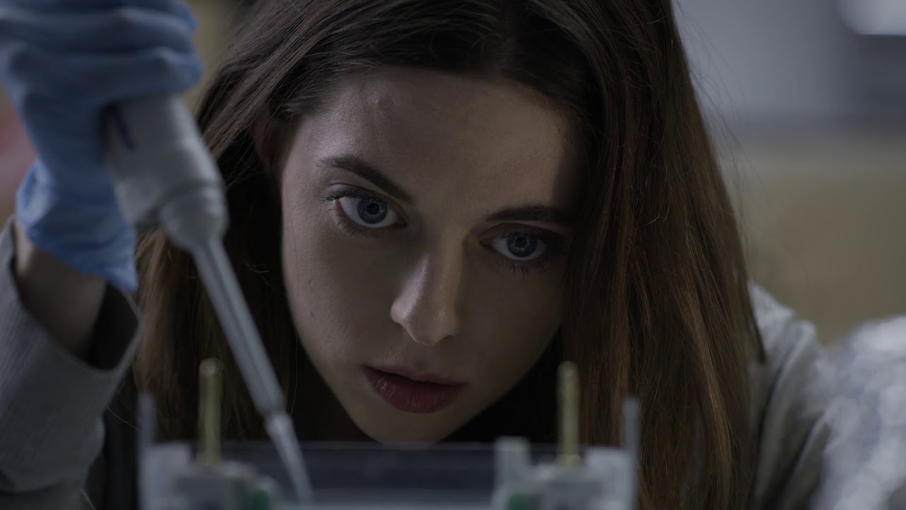 festival of lights The Gaze Trailer