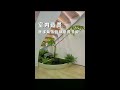 Create a plant micro landscape in the corner of the indoor staircase #Plant Micro Landscape #Indoor