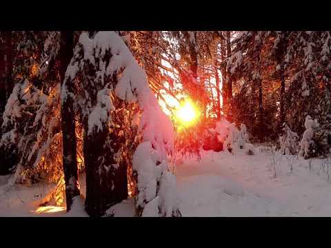 Красота природы Вятского края🥰