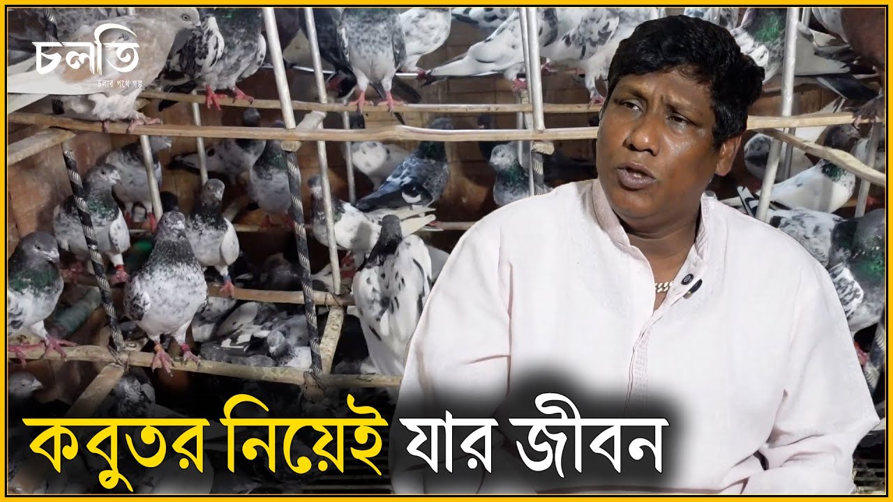 "১০ বছরে যা কালেকশন করবে একদিনে আমার কাছে তা পাবে" | Robin Pigeon | চলতি