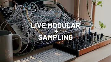 Wind [Live Modular + Sampler Improvisation]  - Mangrove, Beads, Rings