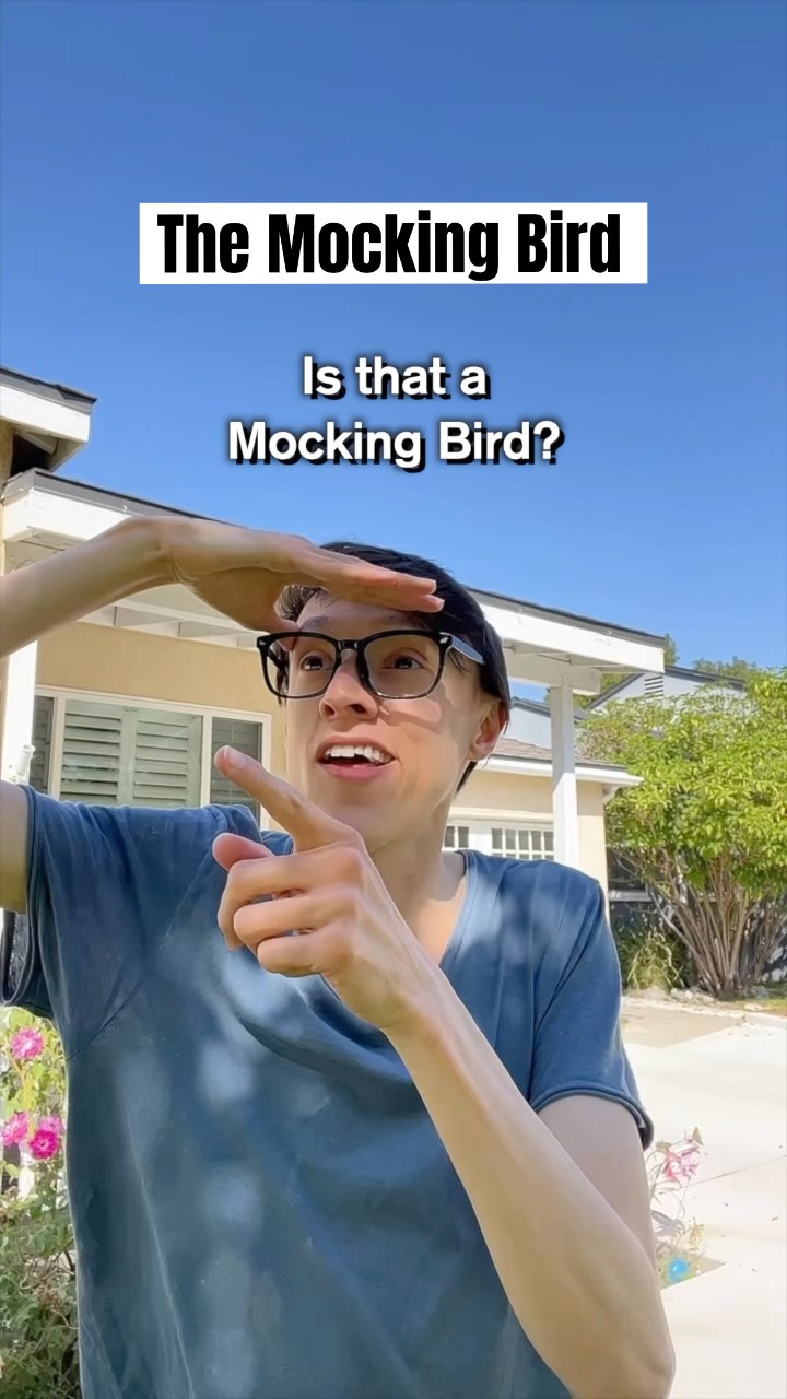 Me vs the Mocking BiRD #TheManniiShow.com/series iB​⁠​⁠@readchoi