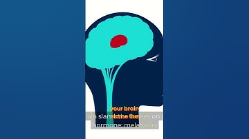 What Happens to Your Brain When You Look at Screens Before Bed?