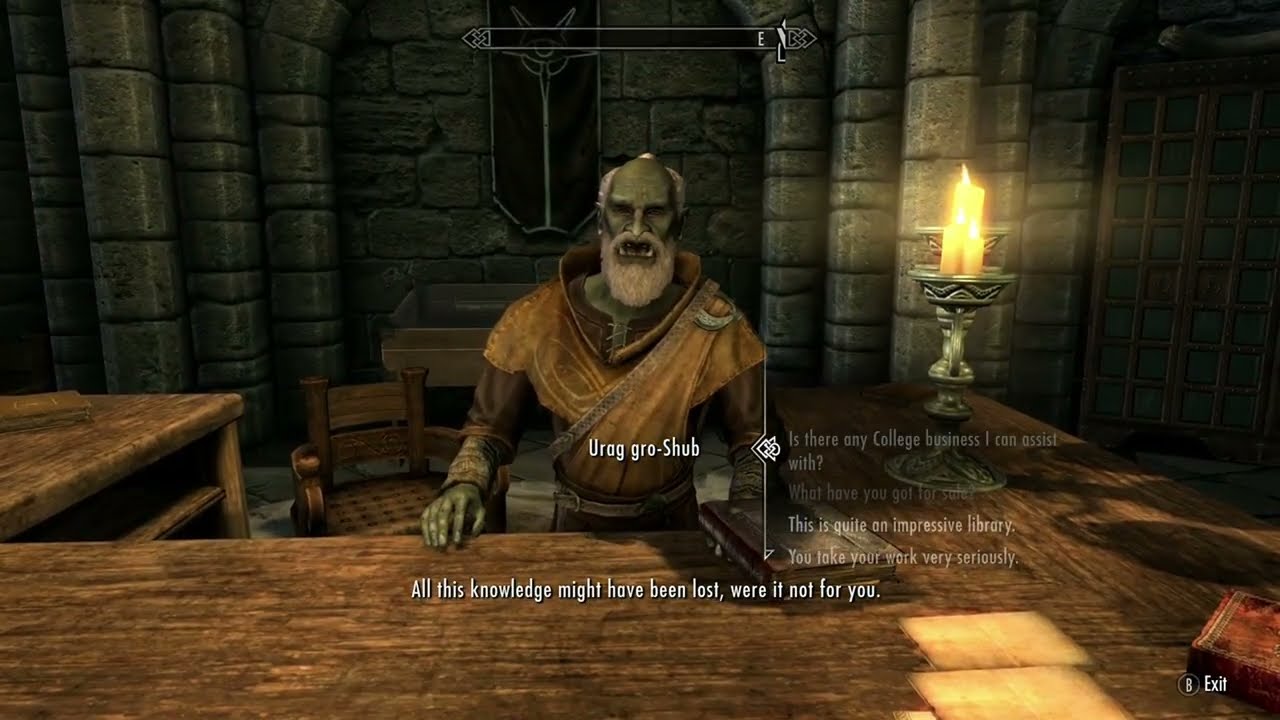 ASMR | A Chill Skyrim Quest to Find a Rare Book