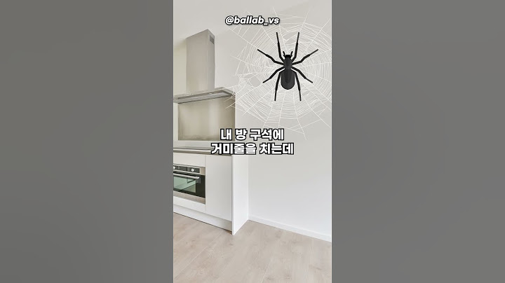 [같이살기] 바퀴벌레 vs 거미