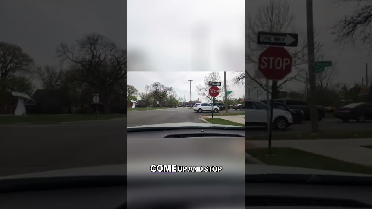 Myles's Speed Bumps: Love 'Em or Hate 'Em? A Driver's Perspective!