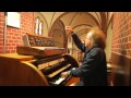 Józef Skrzek plays Minimoog and church organ... again!