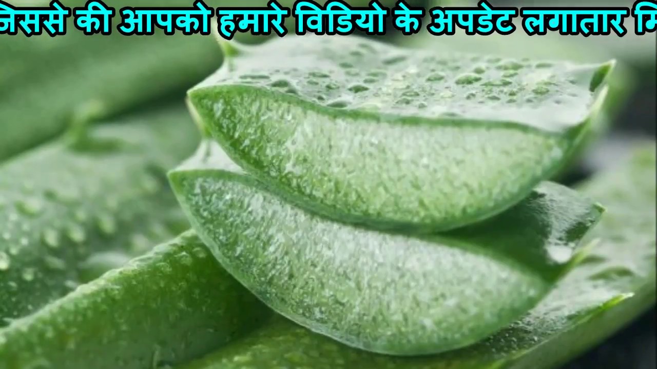 Aloe Vera Juice Recipe in Hindi एलोवेरा का जूस कैसे बनायें? How to make Aloe Vera Juice in