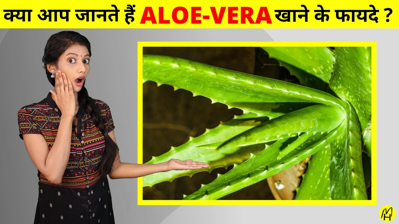 एलोवेरा के ऐसे फायदे जानकर आपके होश उड़ जायेंगे ??। aloevera ke fayde