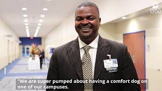 CFISD Comfort Dog