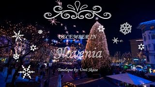 Happy New Year - December in Slovenia 4K