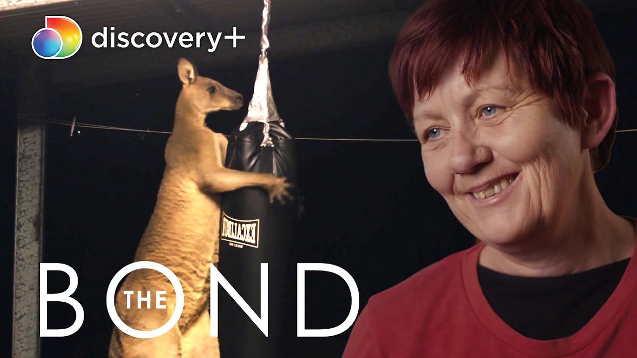 Unique Relationship Between Australian Woman and Her Kangaroos | The Bond | discovery+