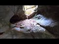 MEGA Sinkhole And Cave Opening Exploration | Aquachigger