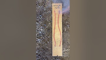 2.5 mm Medium Cannonfuse