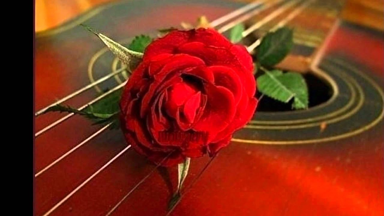 Гитара цветы. Гитара сердце.