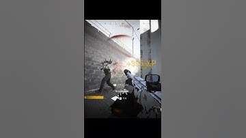 I used to Run and Gun with MK2 (MW2019)