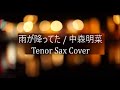 「雨が降ってた・・・」/中森明菜【Tenor sax Akina cover vol.12】