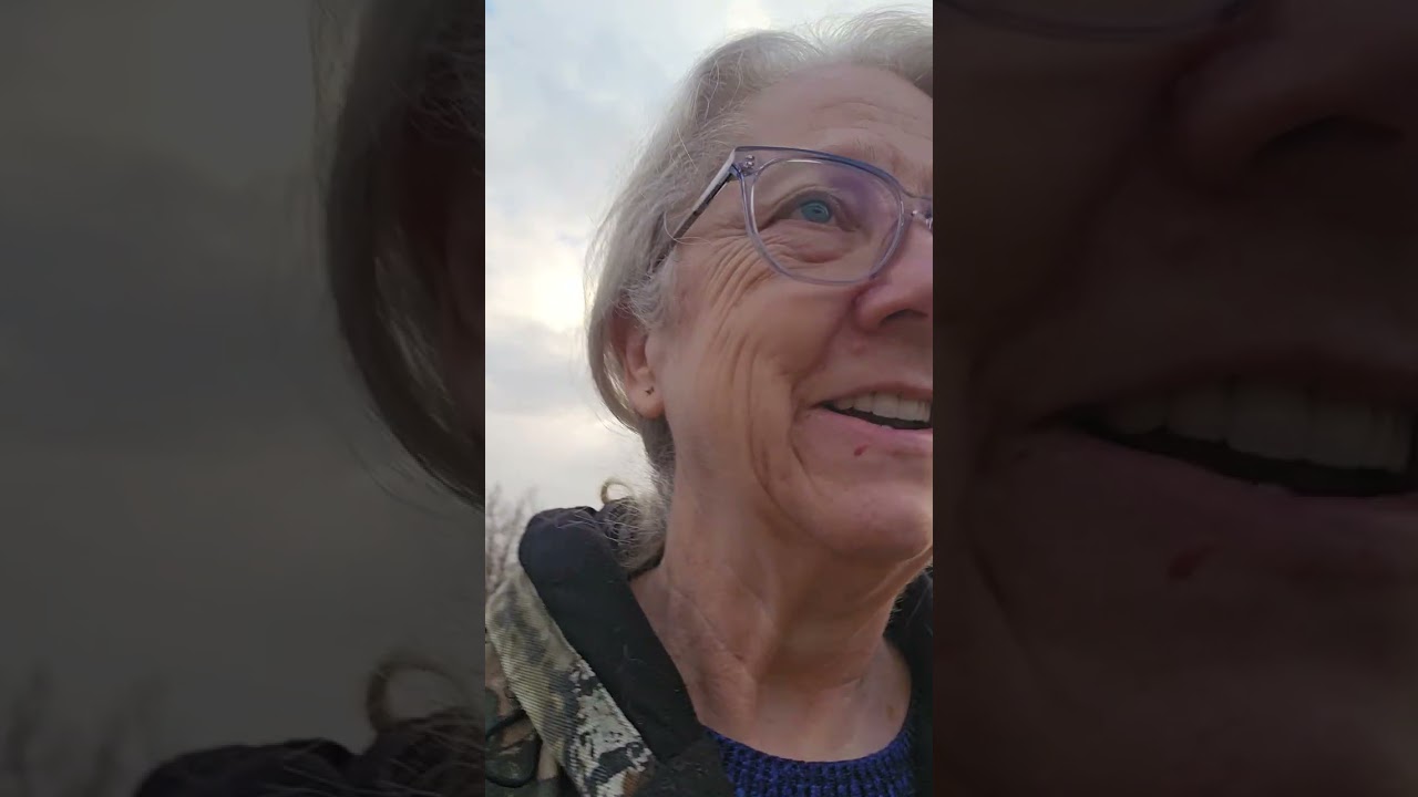 At the coop with the guineas and chickens