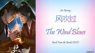 [Hanzi/Pinyin/English/Indo] Liu Yuning - "风吹过" The Wind Blows [Back From the Brink OST]