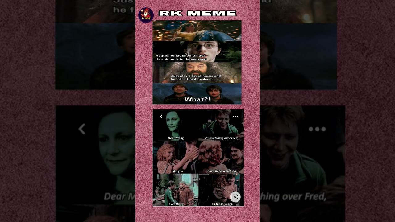 Harry Potter & Hermione Meme Collection | Funny Snape Expressions 