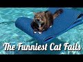 Funniest CAT videos EVER! Best cat videos 2017!