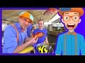 Learn About Fish for Children with Blippi | Educational Videos for Kids