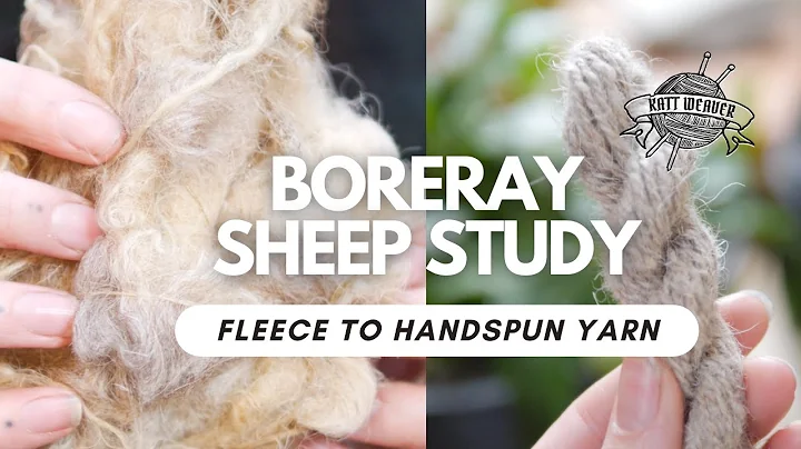 British Sheep Breeds | Raw Fleece to Handspun Yarn | Boreray |