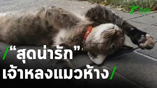 สุดน่ารัก ท่านอนธรรมดาโลกไม่จำ | 13-11-63 | ข่าวเย็นไทยรัฐ