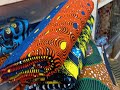 BIASHARA YA VITENGE NA FAIDA ZAKE KIGOMA TANZANIA BIASHARA YA VITENGE NA FAIDA ZAKE KIGOMA TANZANIA
