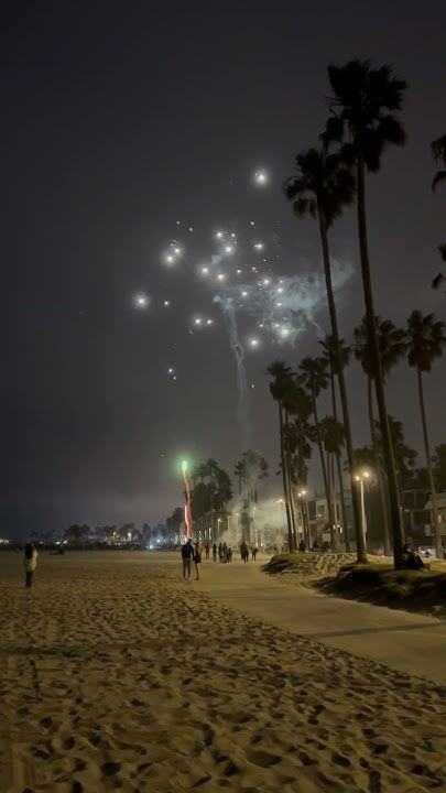 4 of july venice beach