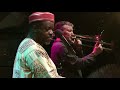 Dele Sosimi Afrobeat Orchestra - Different Category - LIVE at Afrikafestival Hertme 2017