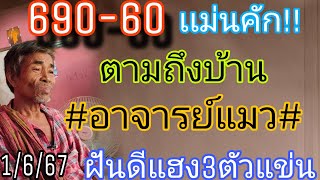 อาจารย์แมว690เฮลั่น3ตัวตามถึงบ้านฝันดีแฮง1/6/67