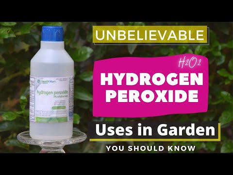 Unbelievable Hydrogen Peroxide Uses In Garden You Should Know