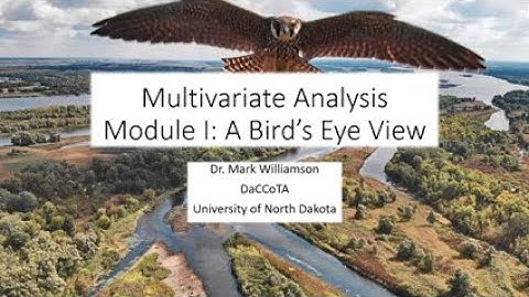 Multivariate Analysis Module I: A Bird
