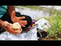 🎣Rohu Fish Catching in Krishna River|Awesome FISHING🎣|We Used Rice Bran Powder To Catch Those Fishes