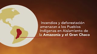 Incendios y deforestación amenazan a los Pueblos Indígenas en Aislamiento