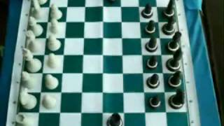 Curso ensinando como se joga xadrez 