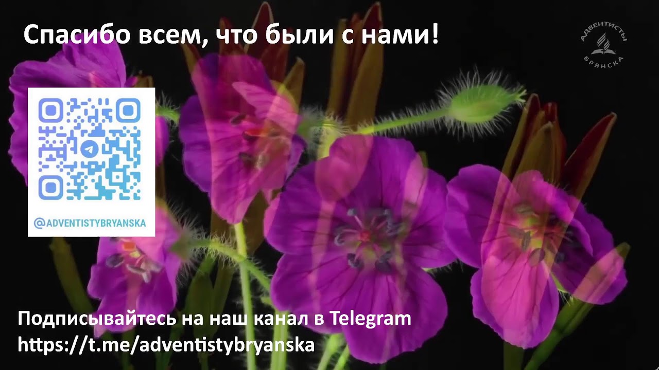 Субботнее богослужение 28.02.2026 //МАХ: любить или бояться?//Глотов Андрей // адвентисты Брянска