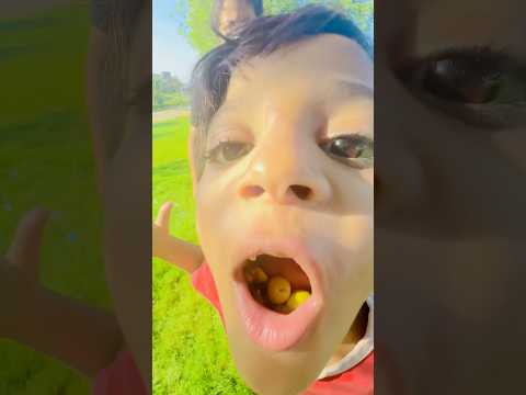 البيبي مسابش حجا لحمودي الطماع