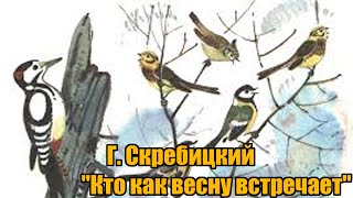 Г. Скребицкий \