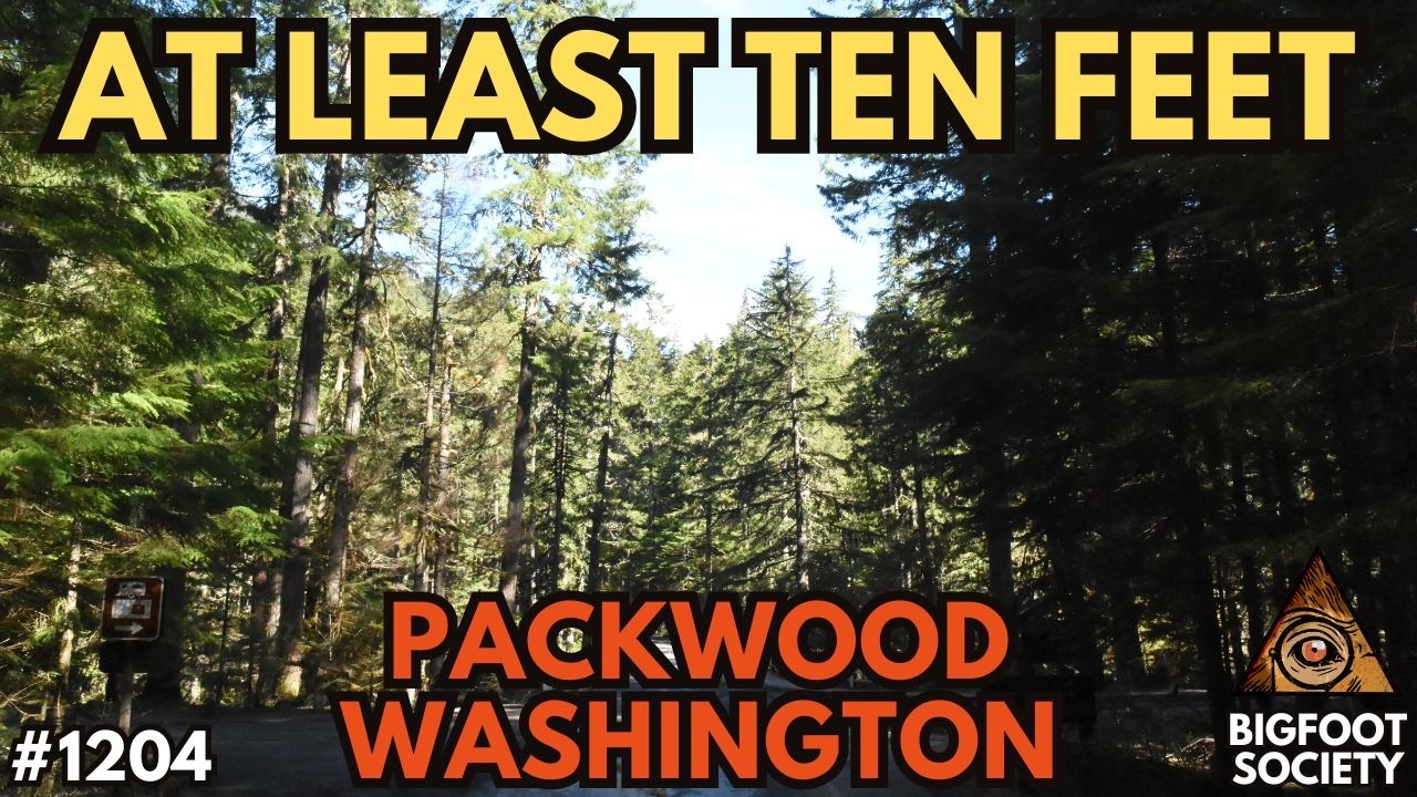 We Saw an Elk Near Mount Rainier—Only Two See What Walked By It| Archives | Bigfoot Society 1204