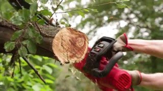 Sears Craftsman 18" Chainsaw