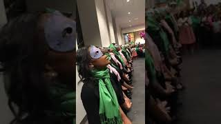 Beta Lambda Chapter AKA Spring 2018 Probate Show