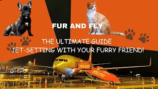 Fur and Fly: The Ultimate Guide to Jet-Setting with Your Furry Friend! ✈️