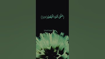 سورة المدثر الآية ٣٨ الى ٥١ بصوت الشيخ ماهر المعيقلي